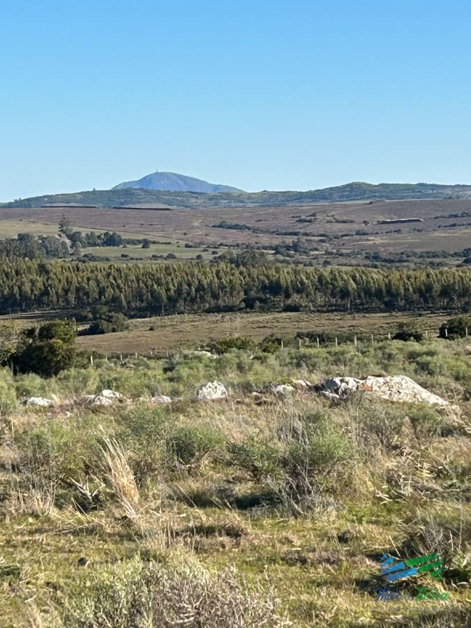 Lindo campito de Recreo o para fraccionar a 30 minutos de Punta, Monte Nativo, tajamar y muy buenas vistas !