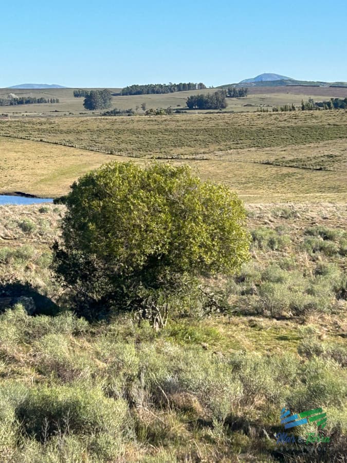 15 Has con todo lo que buscas, vistas increíbles, cañada, tajamar, monte nativo y a tan solo 30 minutos de Punta ! Financia...