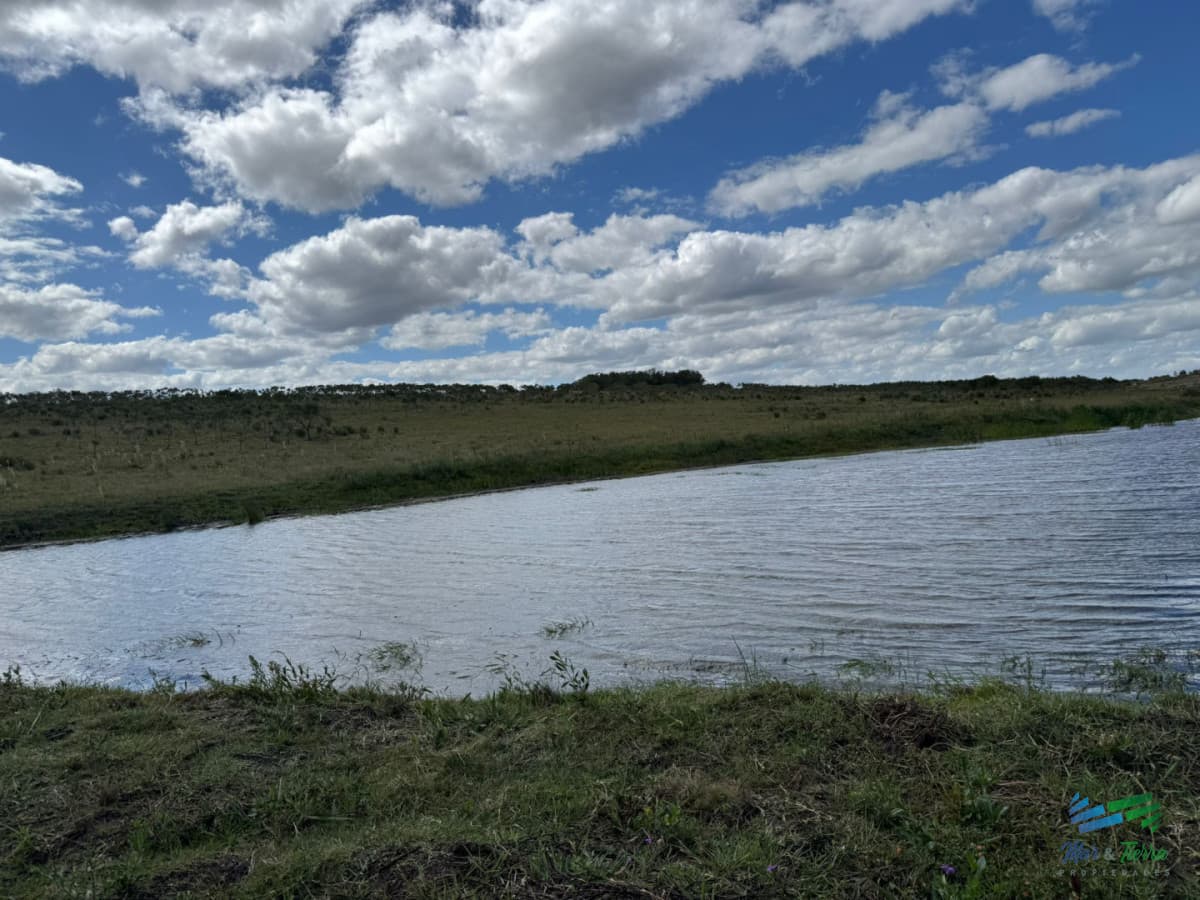 En venta chacra 20 hectareas con Olivos en Ruta 9 cerca de Pan de Azúcar.