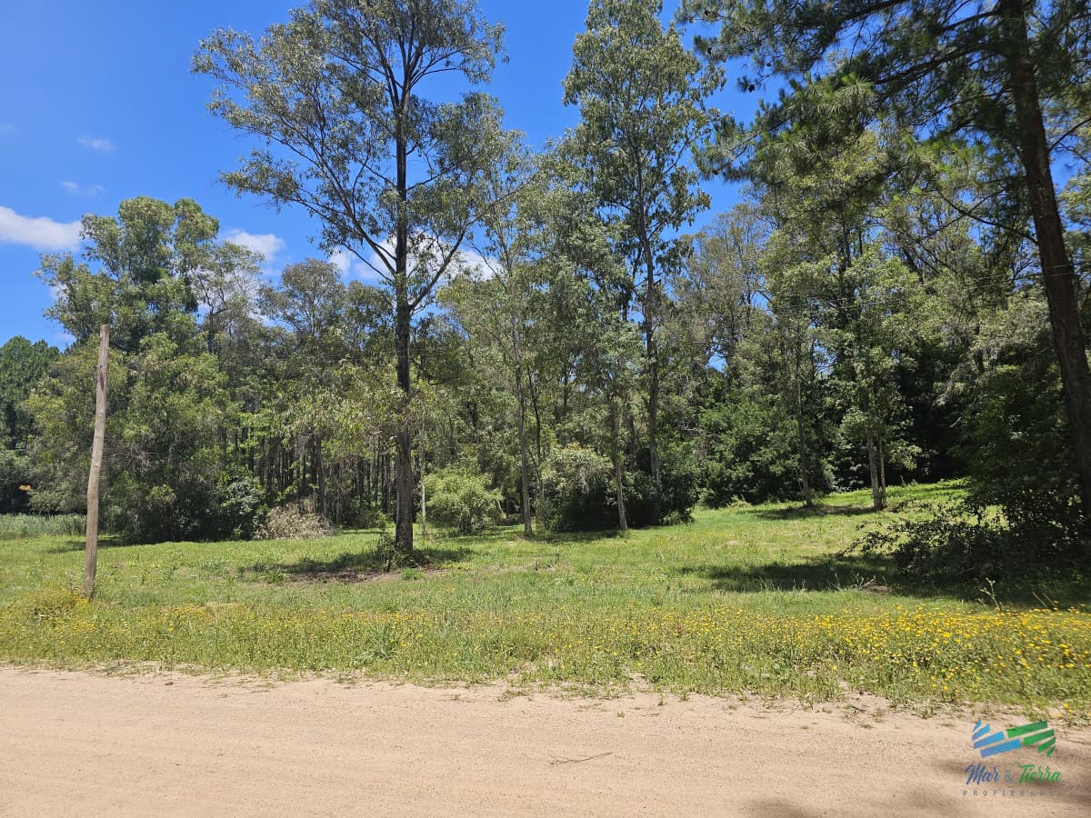En venta chacra de 1 hectarea en Laguna del Diario, Punta del Este