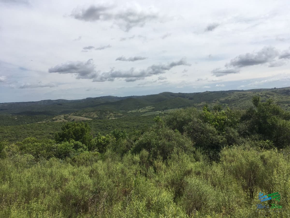 Chacras con vistas increibles, monte nativo, naturaleza y tranquilidad