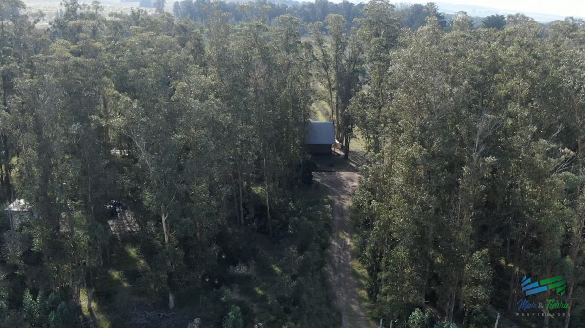 Única chacra con producción de arándanos en laguna del sauce