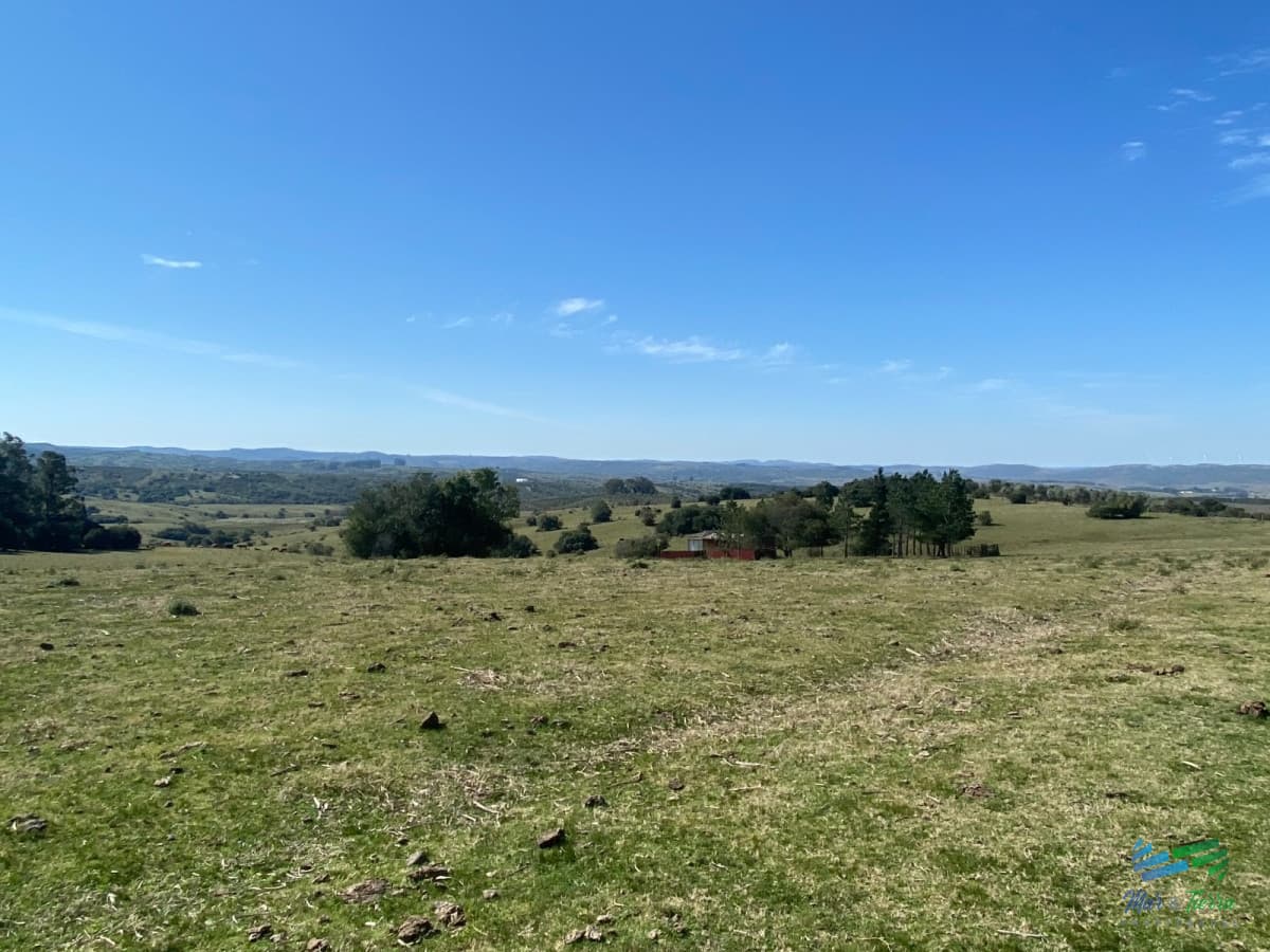 Chacras con vistas Únicas, Olivos, Sierras y descanso... !! Atención Precio Rebajado !!