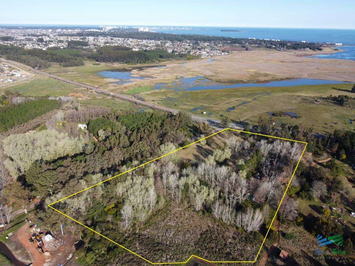 Venta de chacra en Camino Lussich Punta Ballena