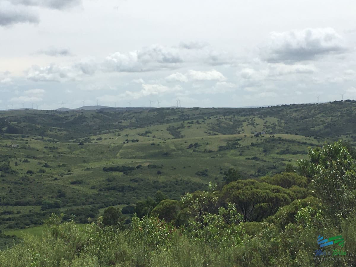 Chacras con vistas increibles, monte nativo, naturaleza y tranquilidad