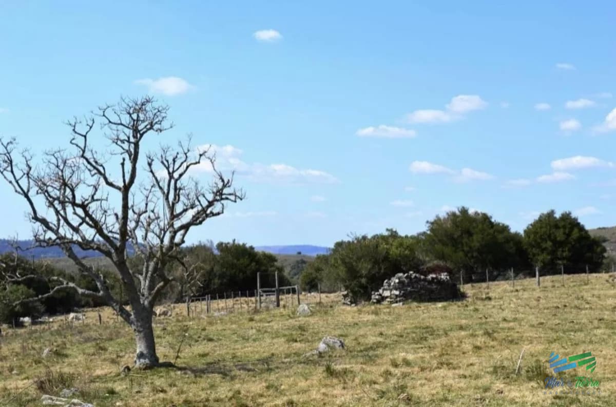 Chacras Serranas, 5 Has por $ 50.000...!!!