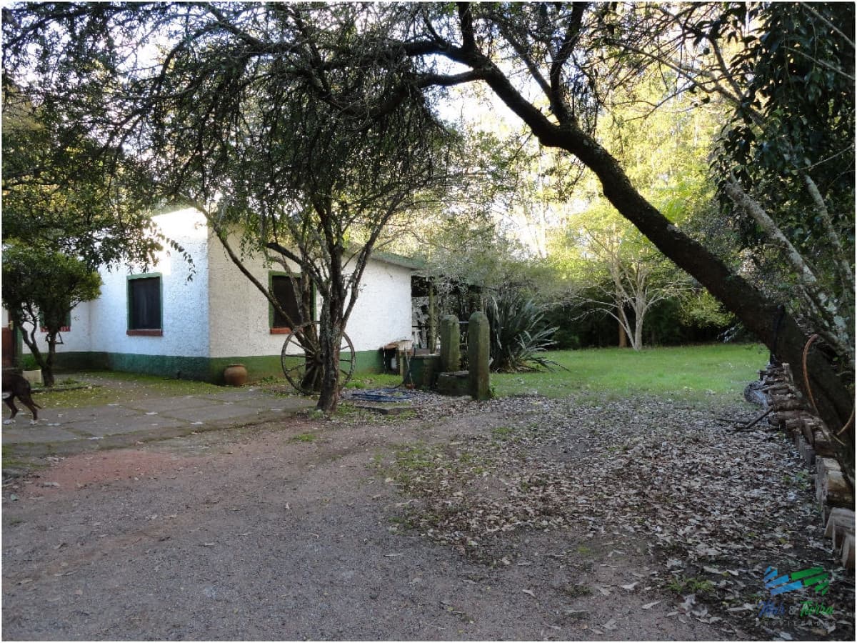Media Hectárea con casa sobre R.9