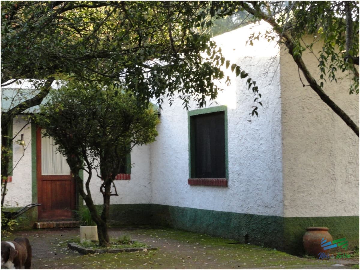 Media Hectárea con casa sobre R.9