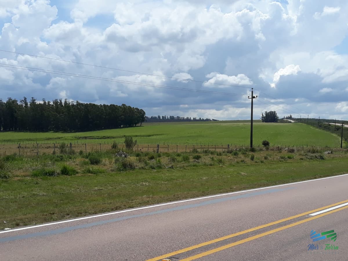 18 Has R.39 a 30 Kms de Punta y pocos minutos de R.9
