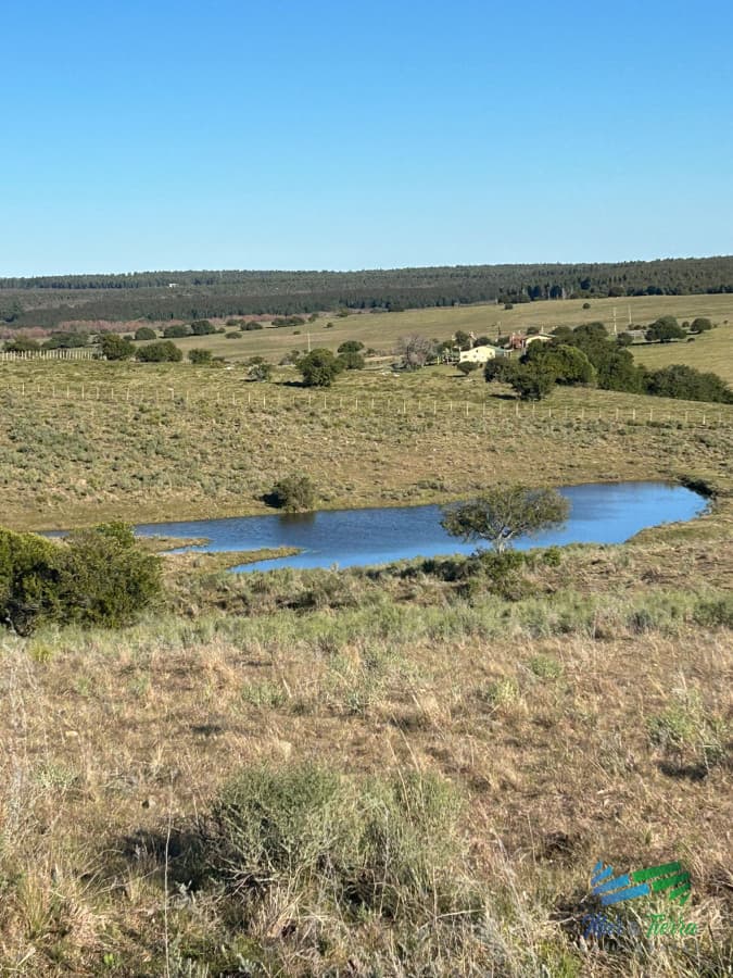 15 Has con todo lo que buscas, vistas increíbles, cañada, tajamar, monte nativo y a tan solo 30 minutos de Punta ! Financia...