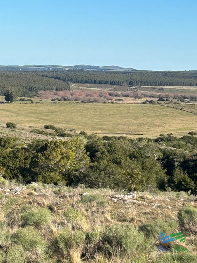 Lindo campito de Recreo o para fraccionar a 30 minutos de Punta, Monte Nativo, tajamar y muy buenas vistas !