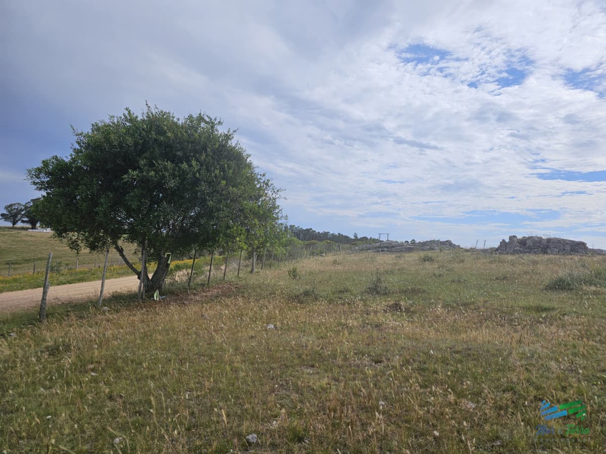 En venta chacra 3 hectareas, proxima ruta 39, a pocos km de San Carlos.