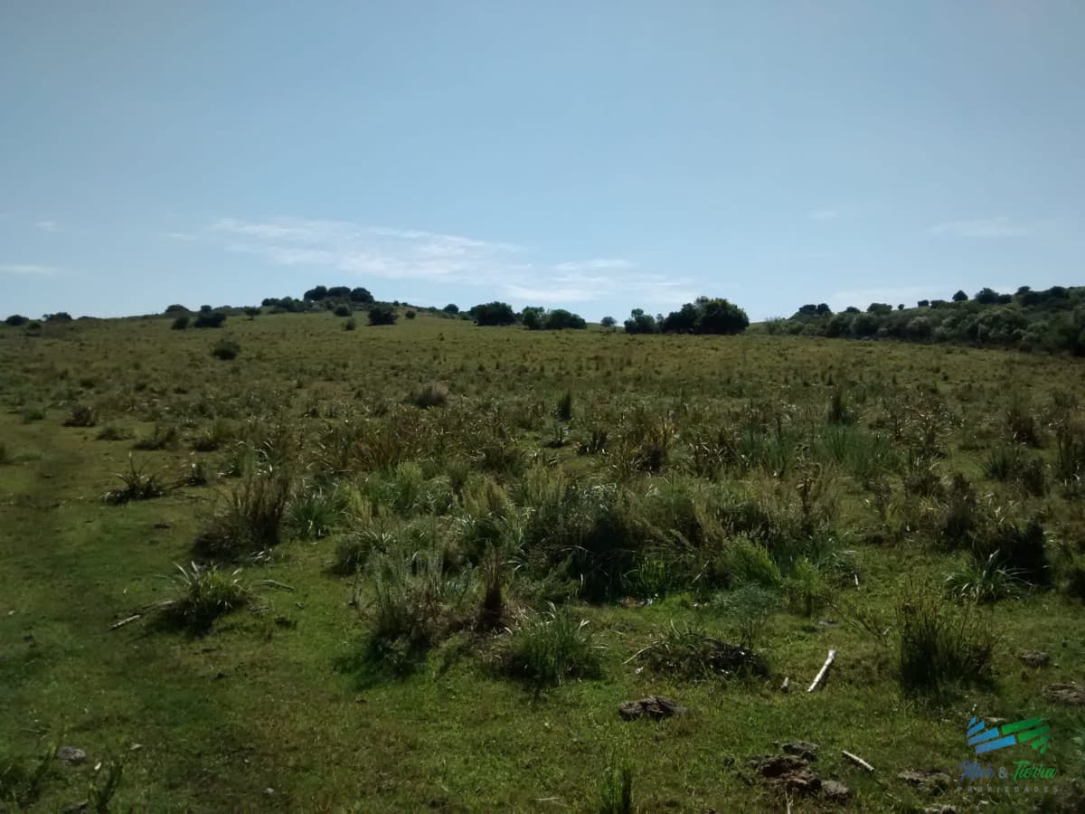 26 Has Garzón a 10 Kms del Pueblo