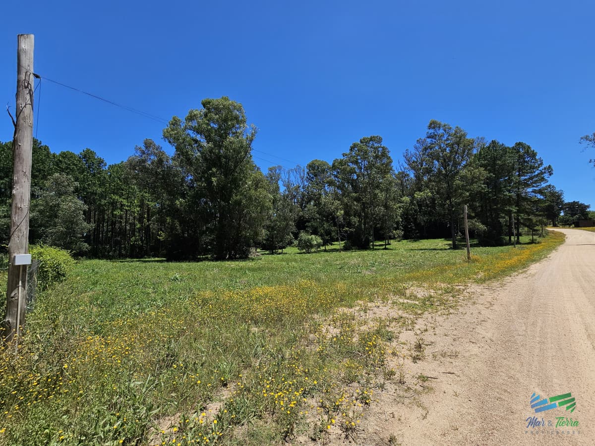 En venta chacra de 1 hectarea en Laguna del Diario, Punta del Este