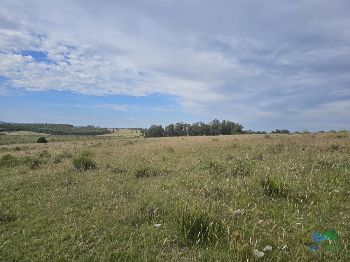 En venta chacra 3 hectareas, proxima ruta 39, a pocos km de San Carlos.