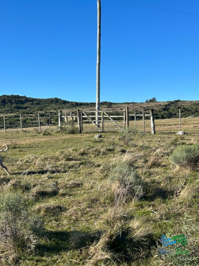 15 Has con todo lo que buscas, vistas increíbles, cañada, tajamar, monte nativo y a tan solo 30 minutos de Punta ! Financia...
