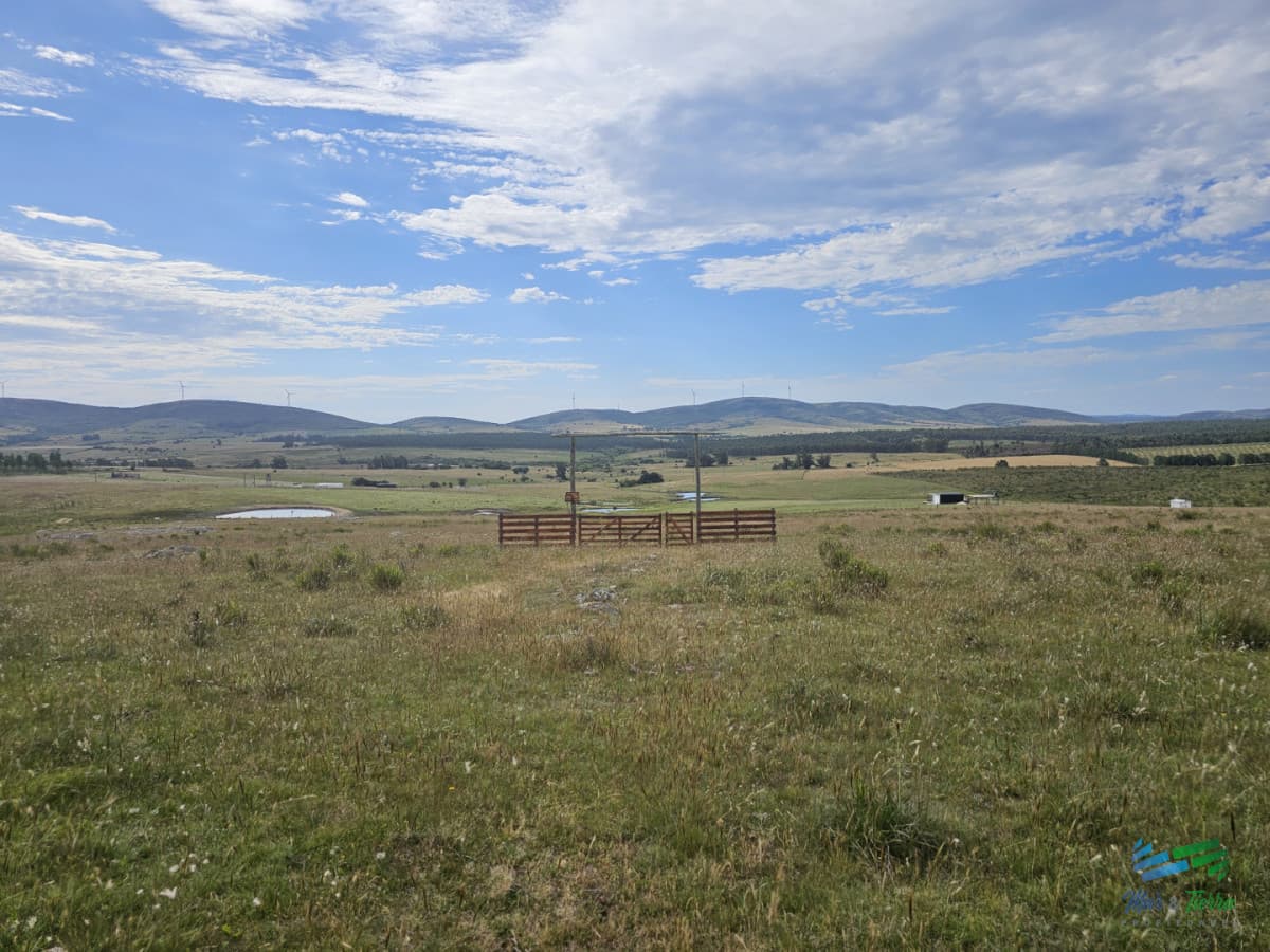 En venta chacra 3 hectareas, proxima ruta 39, a pocos km de San Carlos.