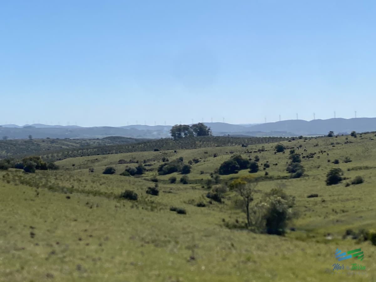 Chacras con vistas Únicas, Olivos, Sierras y descanso... !! Atención Precio Rebajado !!