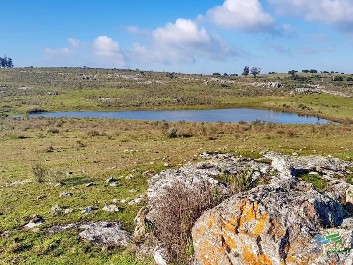 Vendo chacras en Ruta 9, entre ruta 12 y Pan de Azucar, Maldonado. FINANCIO.