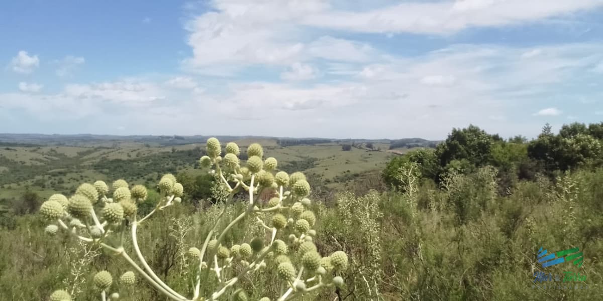 BAJO DE PRECIO...Excelentes vistas y ubicación, especial para fraccionar !
