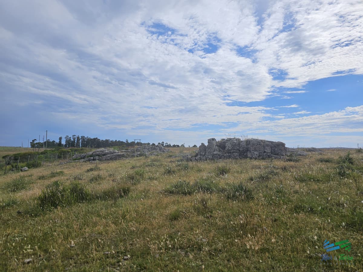 En venta chacra 3 hectareas, proxima ruta 39, a pocos km de San Carlos.