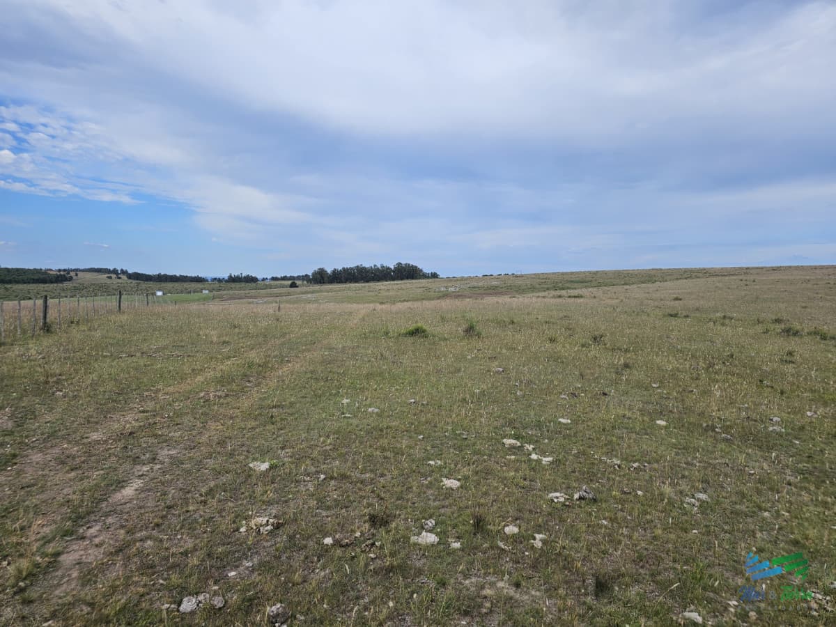 En venta chacra 3 hectareas, proxima ruta 39, a pocos km de San Carlos.