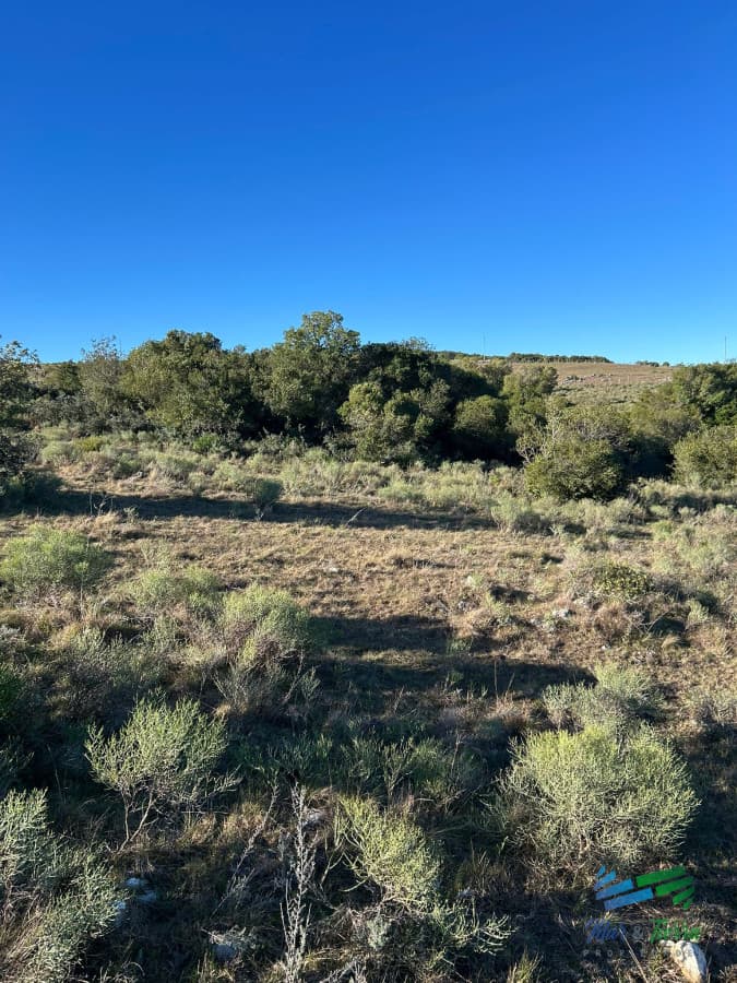 Lindo campito de Recreo o para fraccionar a 30 minutos de Punta, Monte Nativo, tajamar y muy buenas vistas !