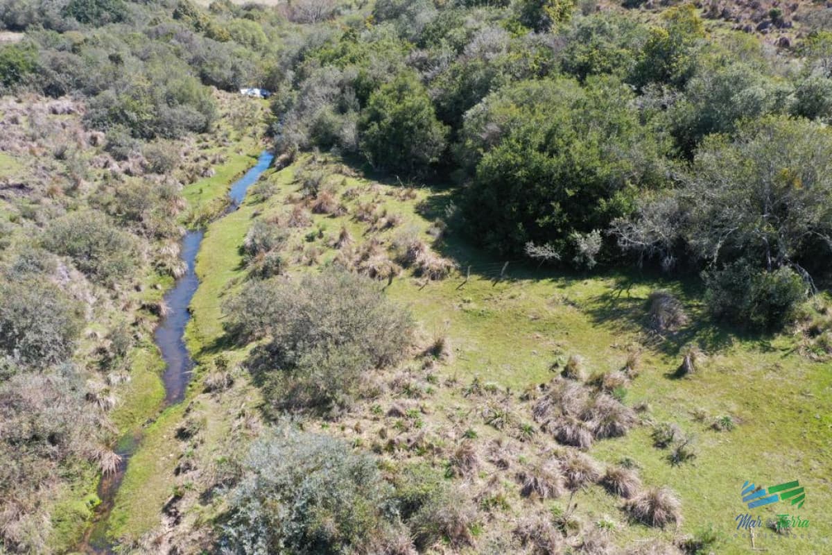 BAJO DE PRECIO !!! Preciosas Chacra con Olivos en Finca Babieca, Vistas Sierras, arroyo, Pueblo Eden