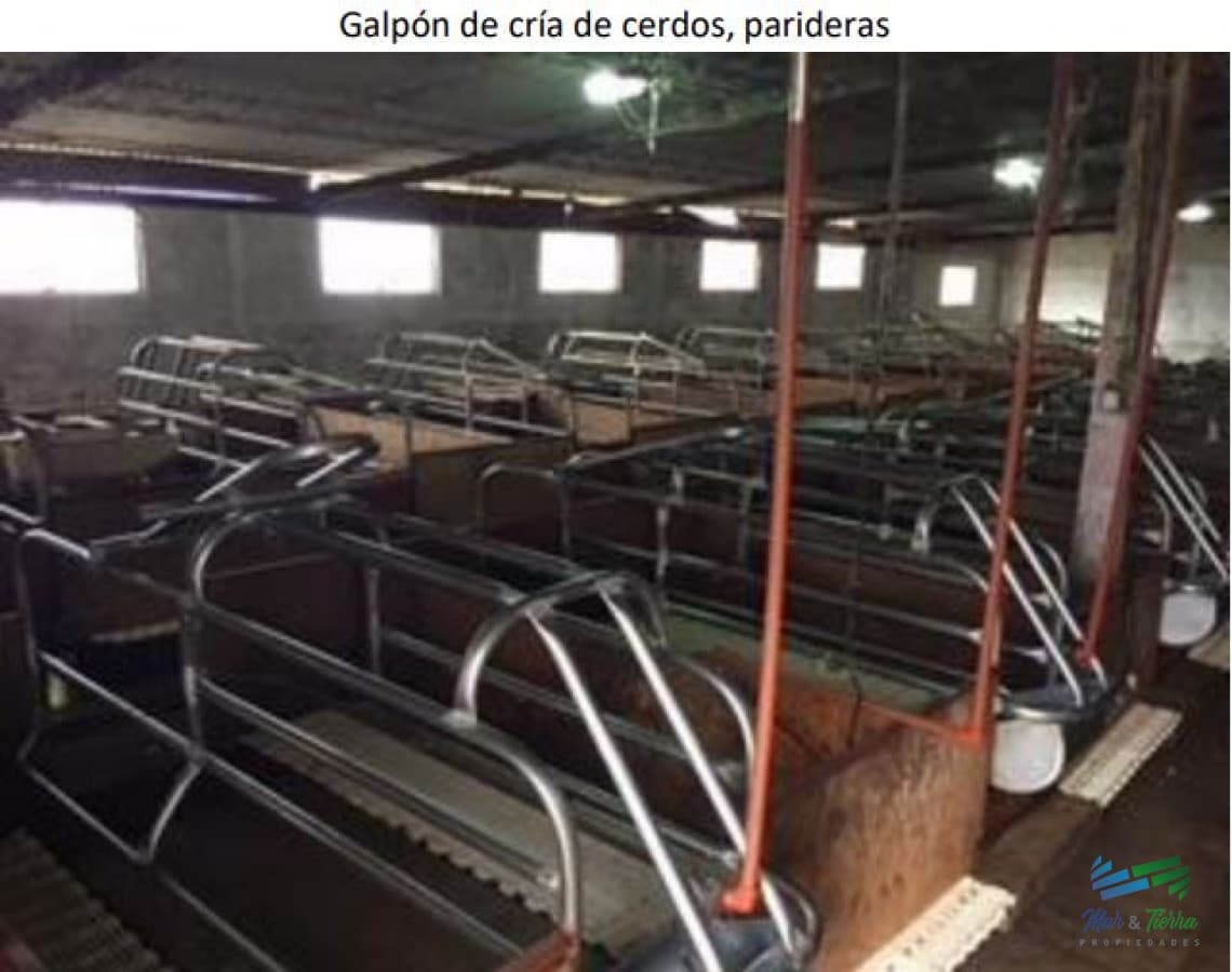 32 Has muy buena ubicación, suelos agrícolas a 57 Kms de Mdeo.