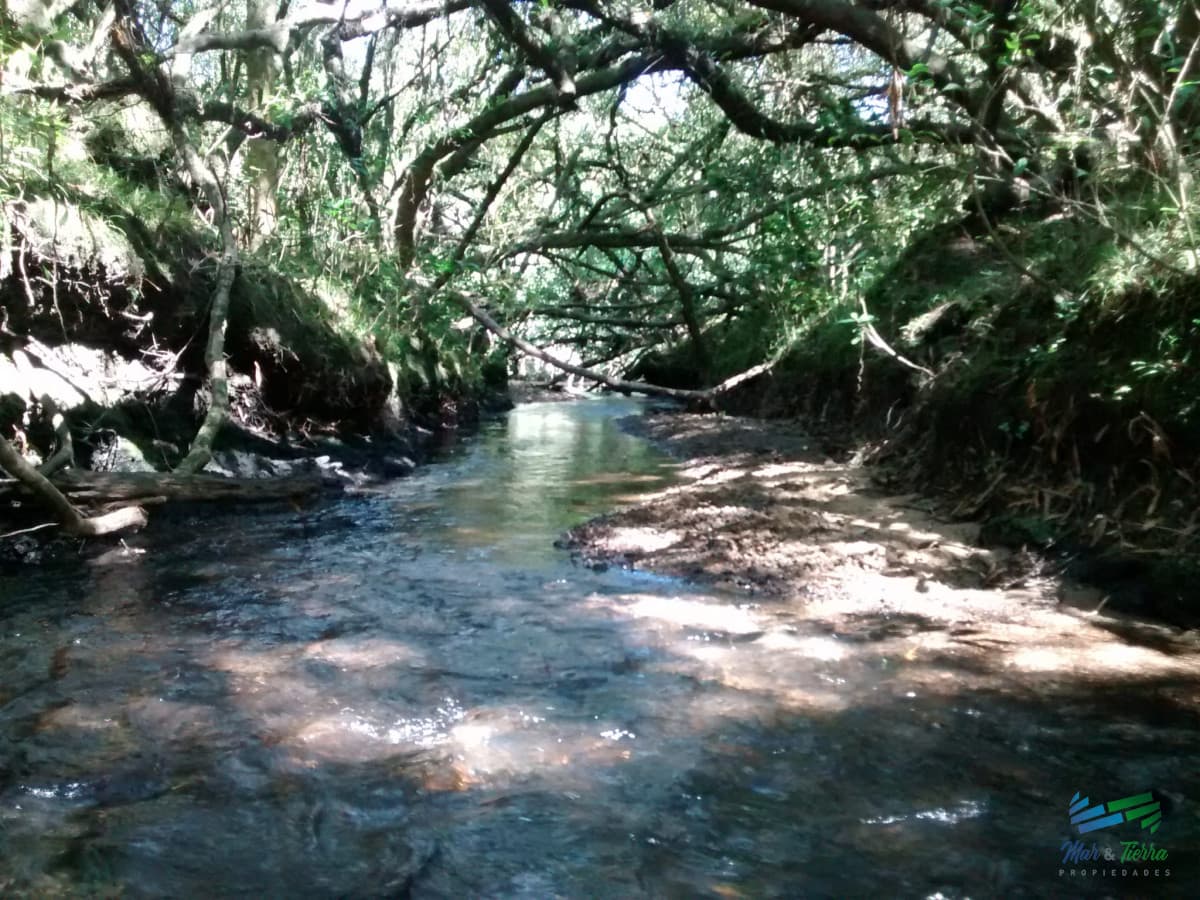 Lindo campo ganadero de 78 Has muy bien ubicado, muy pintoresco.
