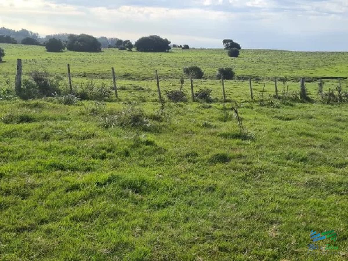 Campo Agrícola - Ganadero, 422 Has sobre Ruta 15