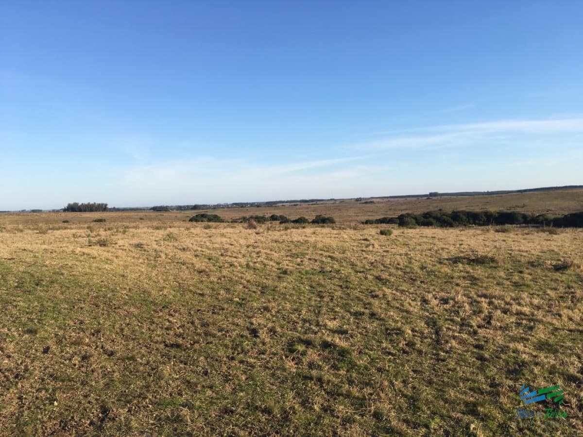 Garzón 260 Has buen campo ganadero, ideal para fraccionamiento