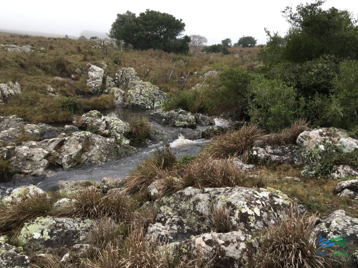 198 Has sobre Ruta 12, Arroyo, Monte Nativo a 15 kms de P. Edén
