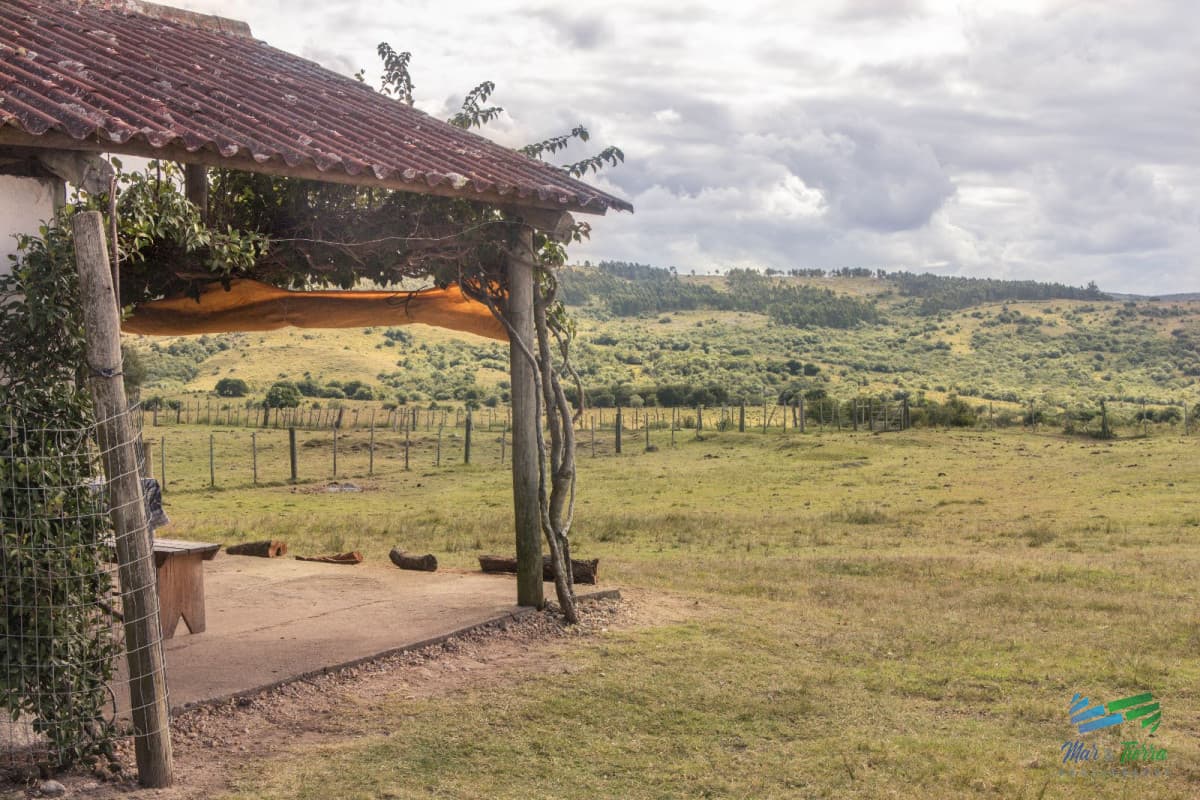 Estancia de 882 Has, campo mixto Ganadero - Forestal muy bien ubicado