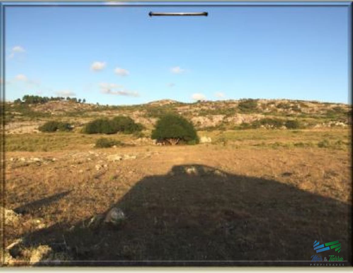 370 Has ganaderas, muy cerca de Punta, arroyo y monte nativo. Excelente ubicación !