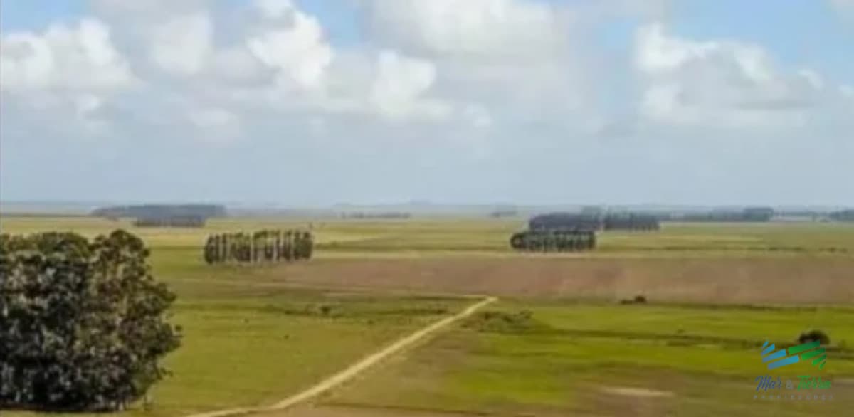 Excelente Estancia Completa Agrícola-Ganadera, sobre R.9 y Costa Laguna Castillos