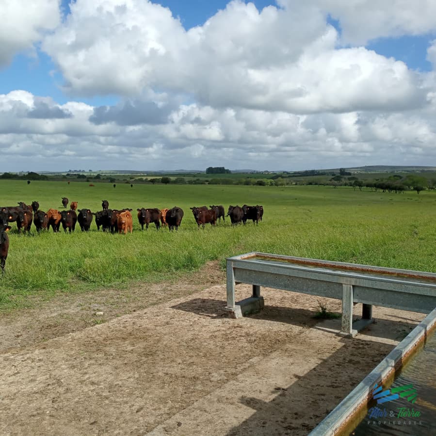 108 Has en venta a portera cerrada, Única por ubicación y mejoras, establecimiento completo !