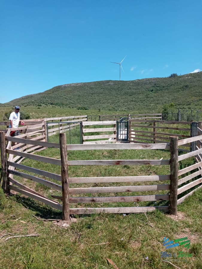 Lindo campo 63 has en las Sierras de Carape, muy buenas vistas