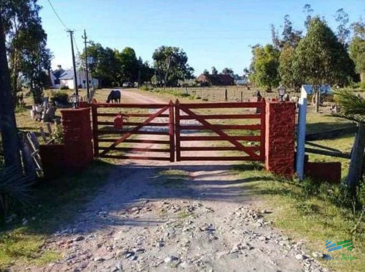 Buen campo ganadero con muy buen acceso sobre ruta