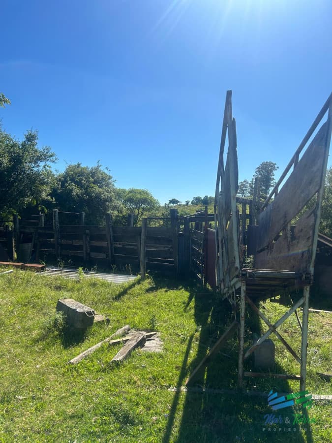 577 Has Campo Ganadero - Forestal