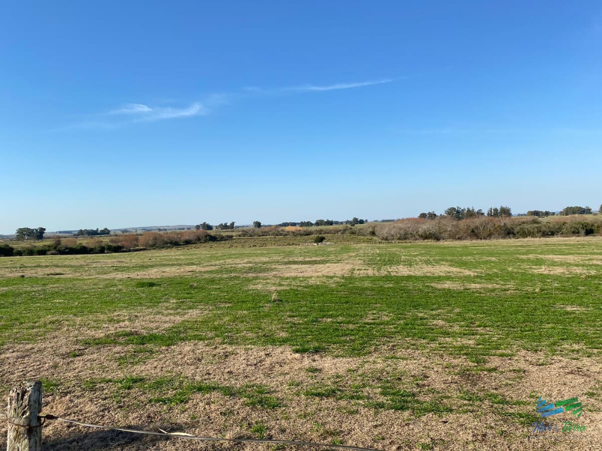Buen campo mixto a 1 hora de Punta, buen acceso e instalaciones.