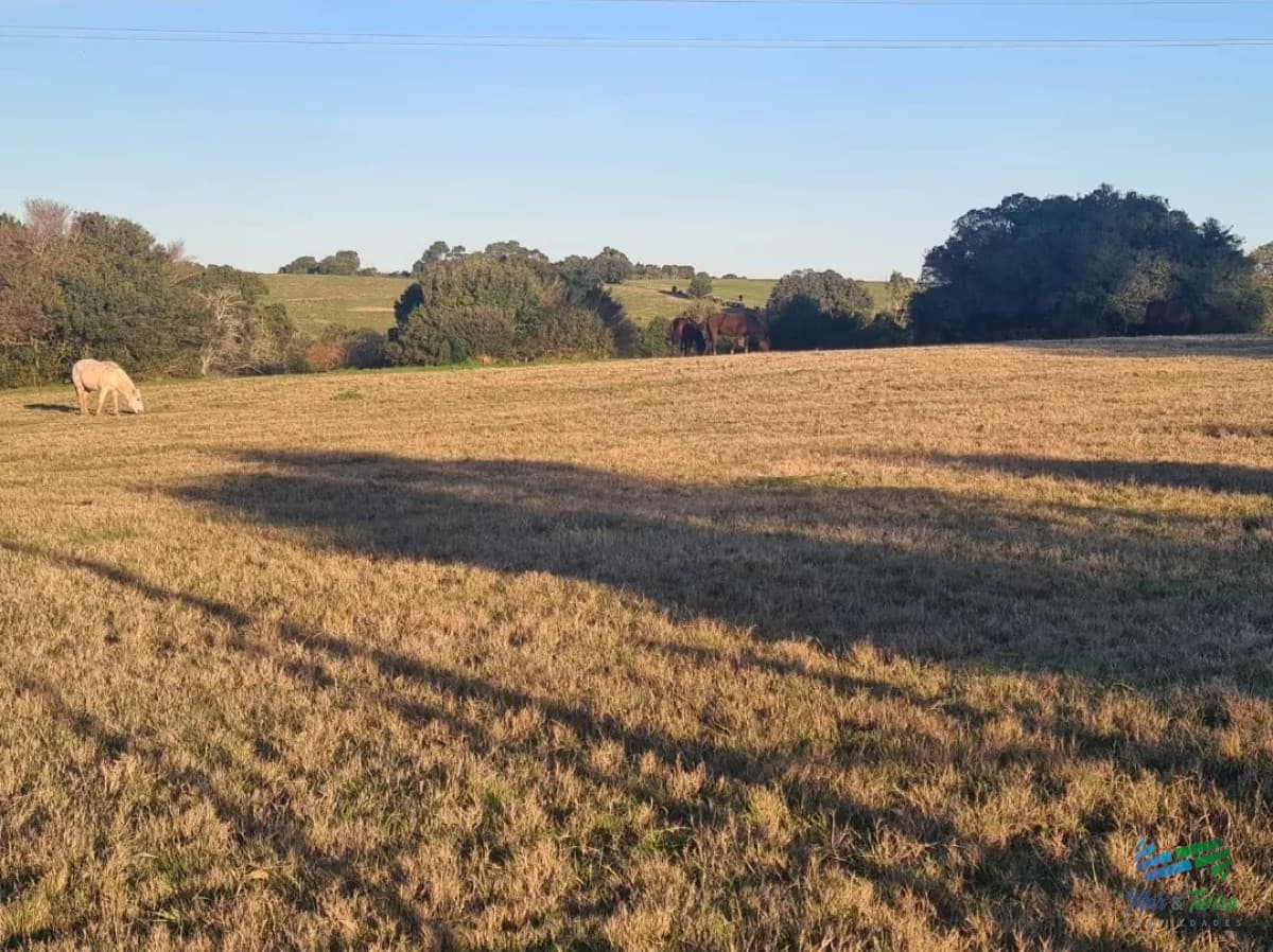 Campo Agrícola - Ganadero, 422 Has sobre Ruta 15