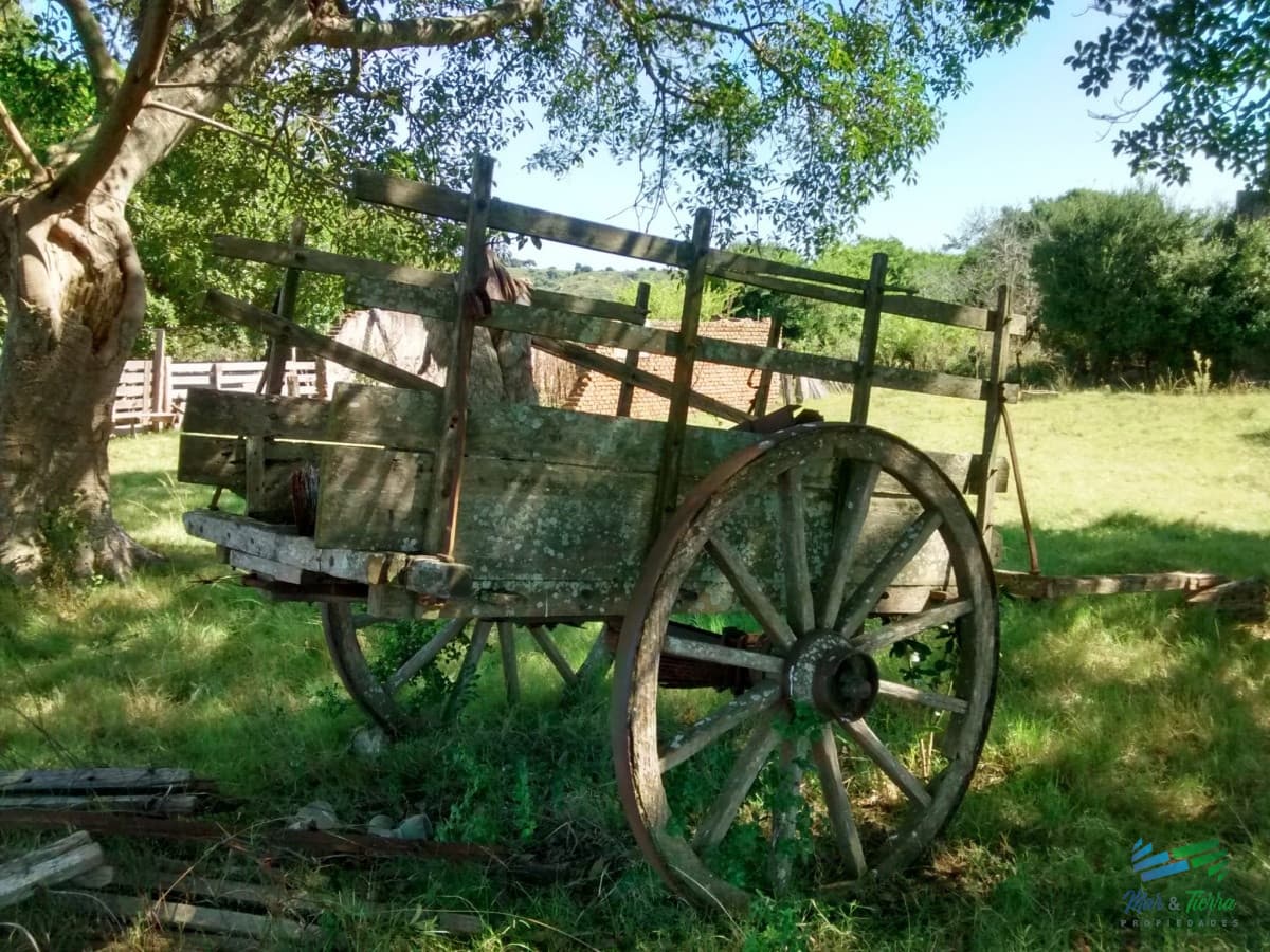 Lindo campo ganadero de 78 Has muy bien ubicado, muy pintoresco.