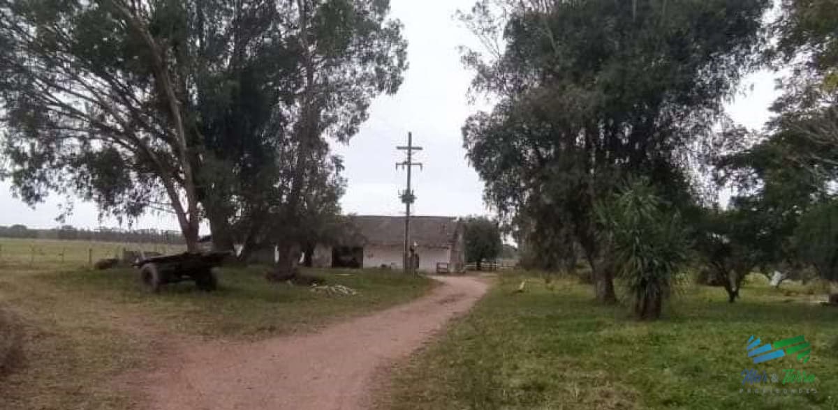 445 Has Campo Ganadero