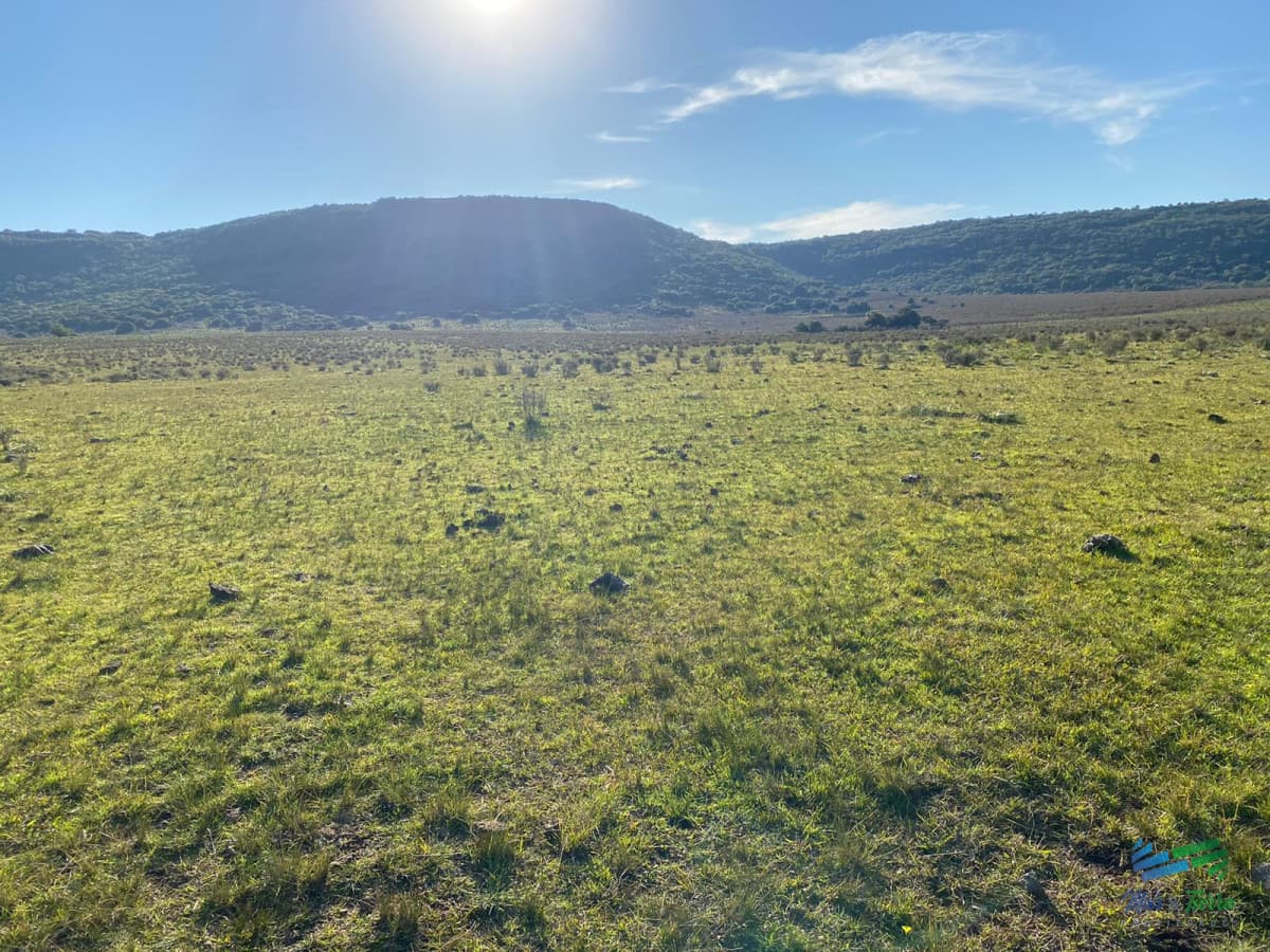 Buen campo mixto a 1 hora de Punta, buen acceso e instalaciones.