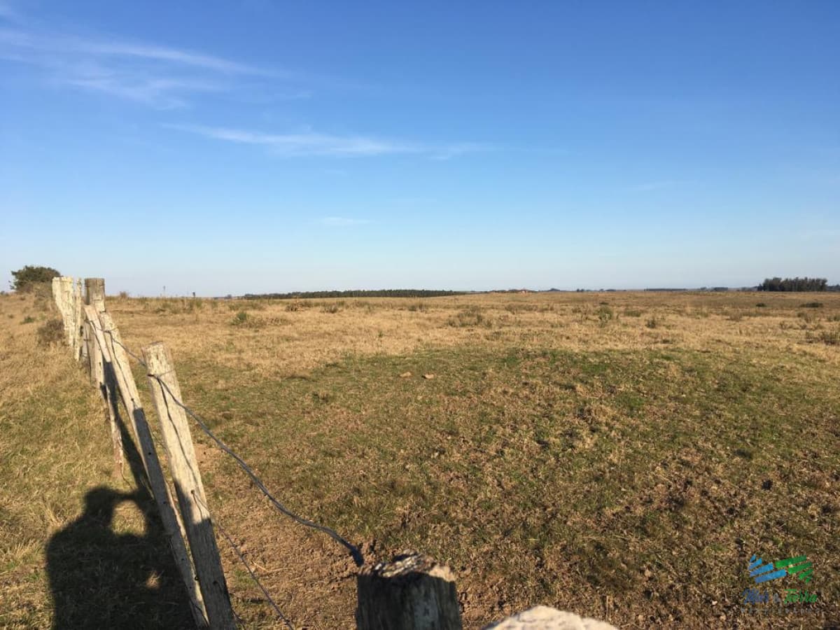 Garzón 260 Has buen campo ganadero, ideal para fraccionamiento