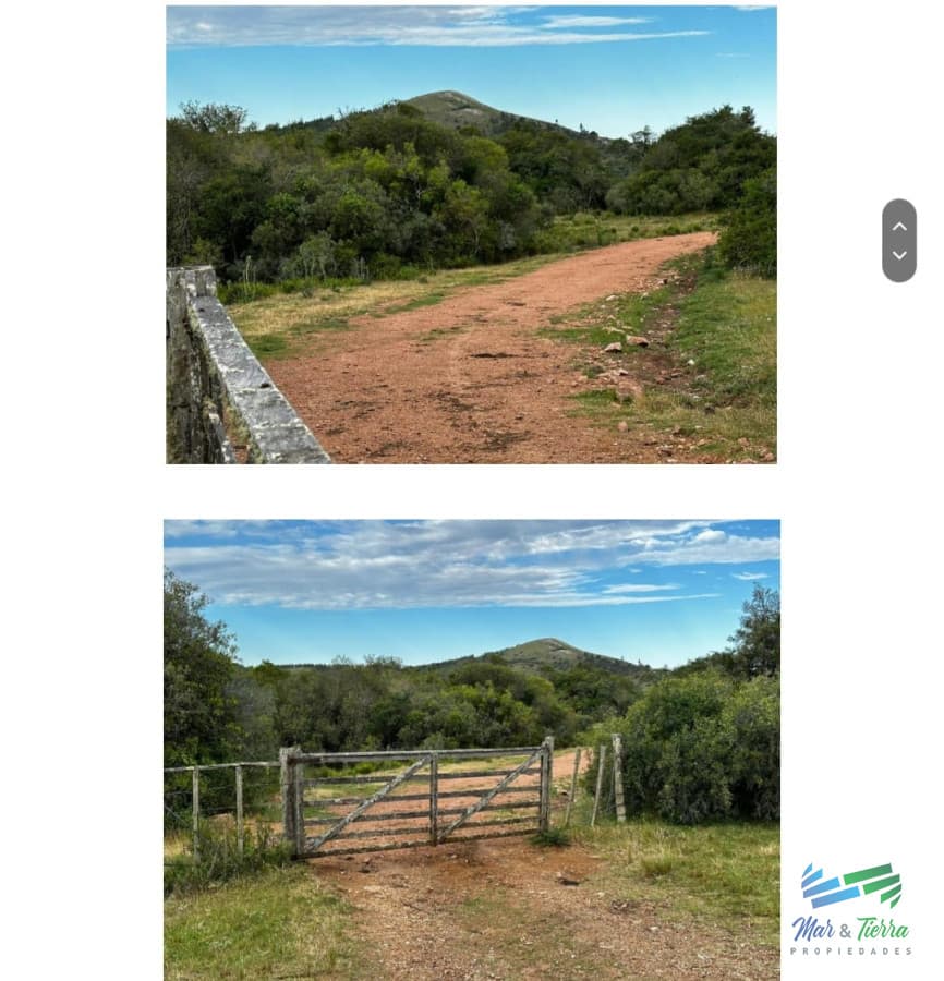 555 Has Campo Mixto Ganadero – Forestal