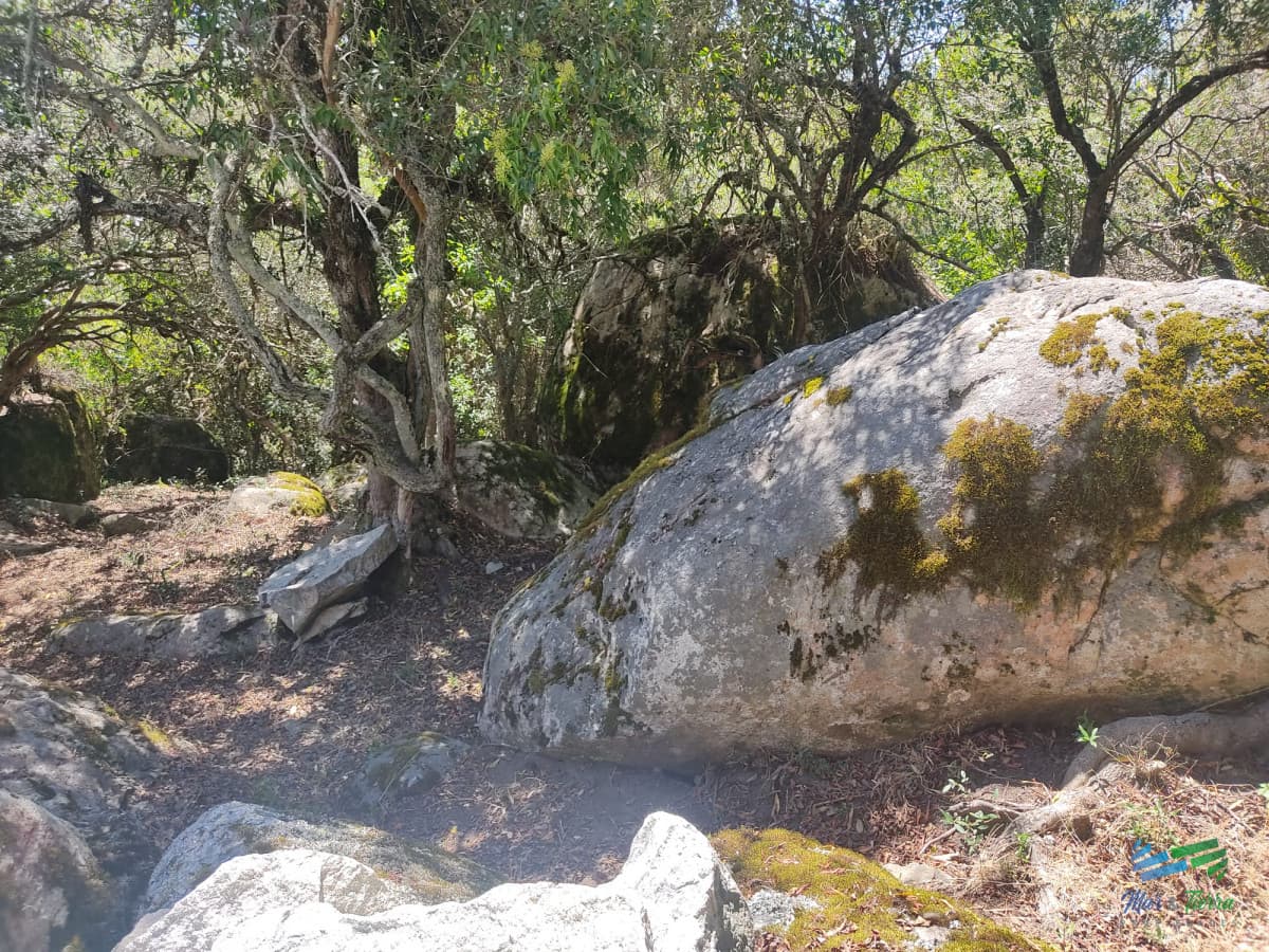 Un lugar único en el punto mas alto del país, 76 Has Sierras, Paz y Vistas Increíbles !