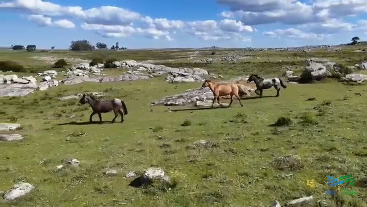 Gran Potencial Turístico, apto para fraccionamiento de chacras en ubicación inmejorable.
