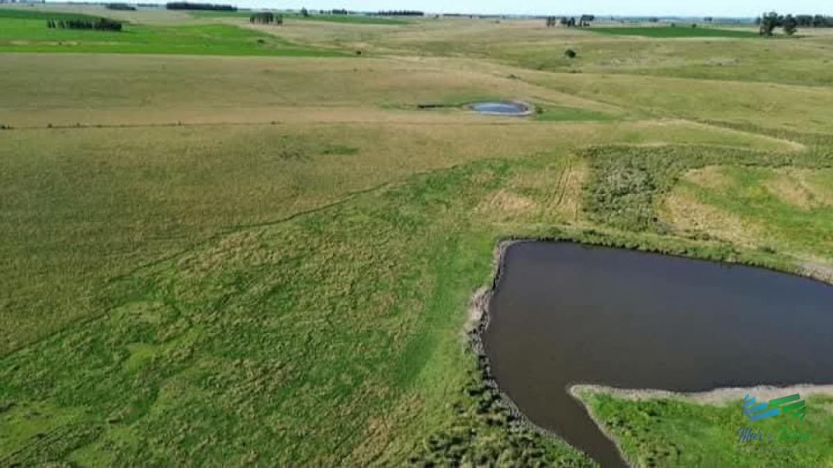 150 Has Campo Agrícola Ganadero a tan solo 10 Kms de Florida (Bajo de Precio) !